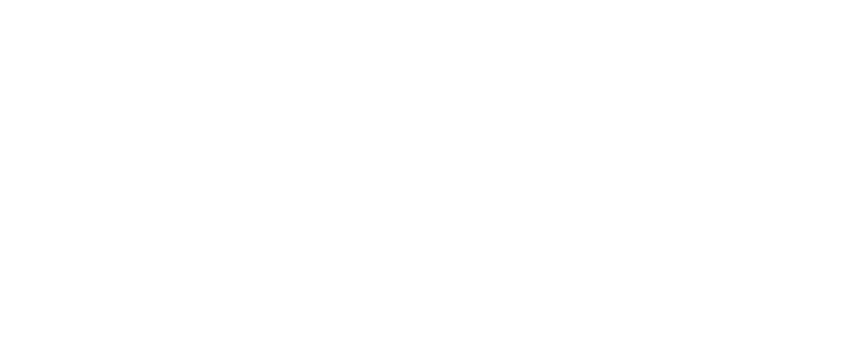 meweraracingteam